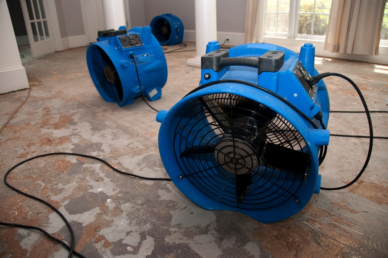 This is the sewage water damage recovery process in a residential home. The flooring is ripped off, and the rooms are sprayed with biowash. Industrial fans and dehumidifiers is placed in the room for the drying and restoration process. The process will last 3 days.