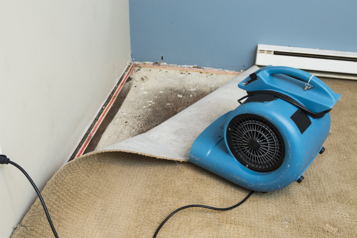 Water damaged walls and floors in house. Dehumidifier pointing at walls.