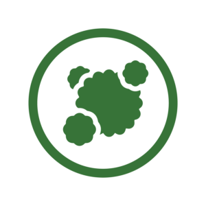 Mould Remediation